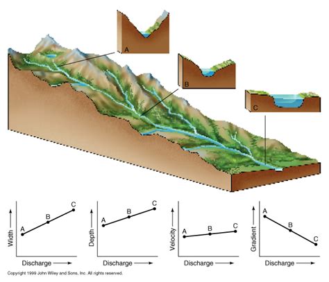 Valley Xtractz Profiles .